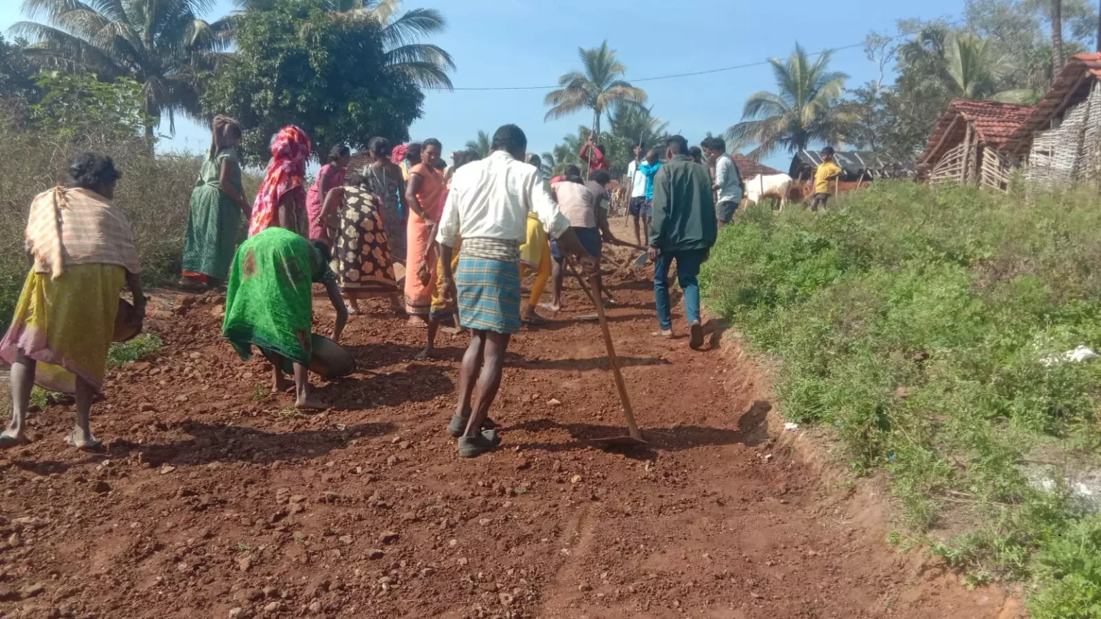 PVTG community defies govt delay, build 3-Kilometre road Jeenabadu PVTG community defies govt delay, build 3-Kilometre road Jeenabadu