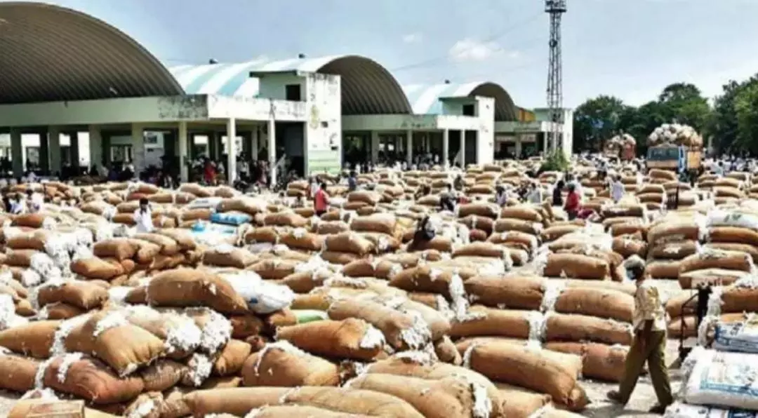 Enumamula agriculture market opens after Sankranti Enumamula agriculture market opens after Sankranti