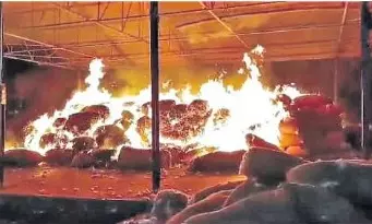 Fire Accident in Khammam Market Guts 800 Cotton Sacks Worth Rs 30 Lakh