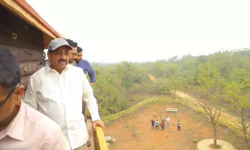 Minister Tummala for ban on plastic in parks