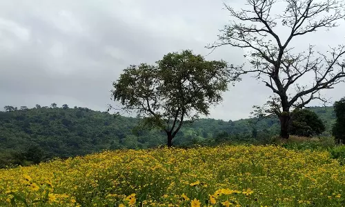 New Passport Office to open in Araku Valley