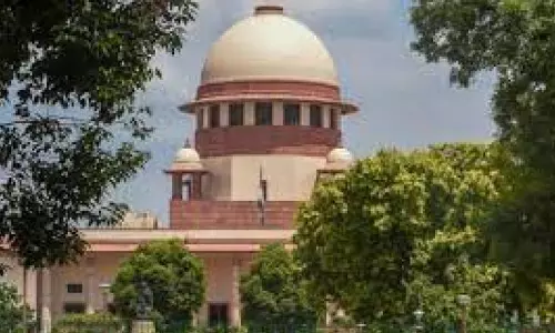 SG raises halal-certification of non-meat products in SC