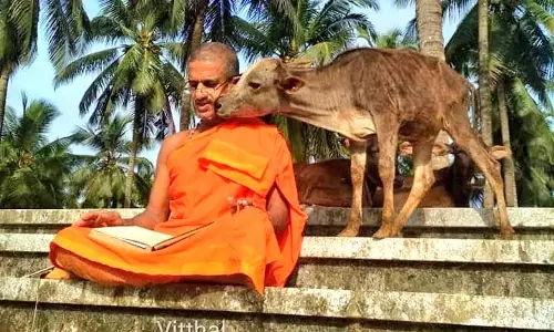 Pejawar Seer Launches Prayer Drive Against Cow Cruelty