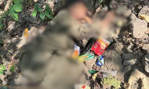 DC Edit | Maoists are fewer now, but still remain a threat