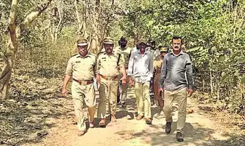 Tiger Kills Cow in Kodimyala, Officials on High Alert