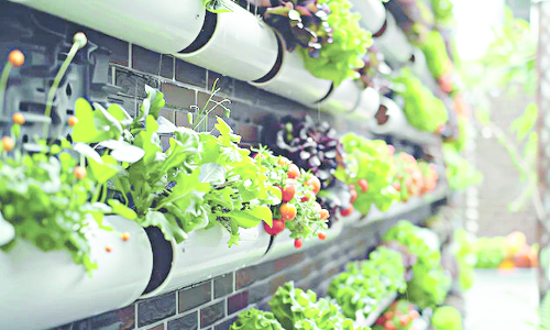 ‘Go Green’ With Envy