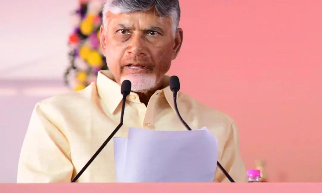 AAP-led Delhi government model has failed: Chandrababu Naidu
