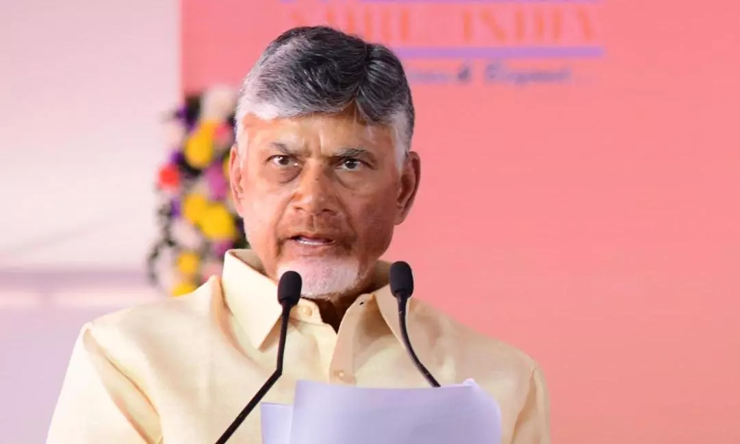 AP Revenue Estimated at 1,02,154 Cr in 2024–25: CM