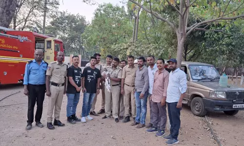 Hyderabad: Black Kite Stuck at 80ft High in Chinese Manja Rescued