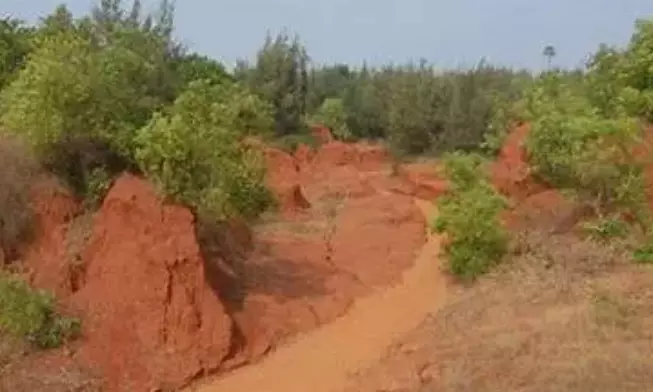 Erra Matti Dibbalu: Jana Sena corporator moves High Court against illegal excavation