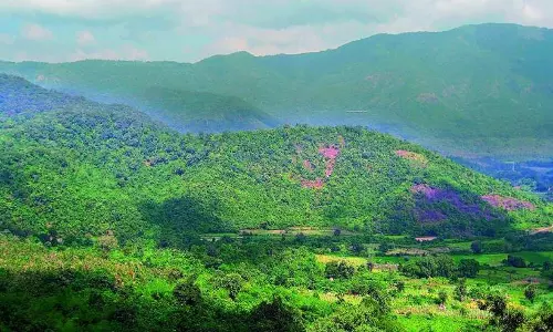 Araku Valley preparing for three-day Chali festival