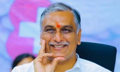 Tackle Naidu Over Krishna: Harish to Revanth
