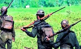 Four jawans fall sick during anti- Naxal operation in Dantewada jungle