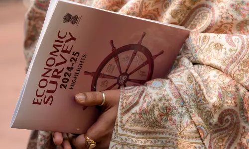 Budget 2025: High-level committee to review laws affecting businesses