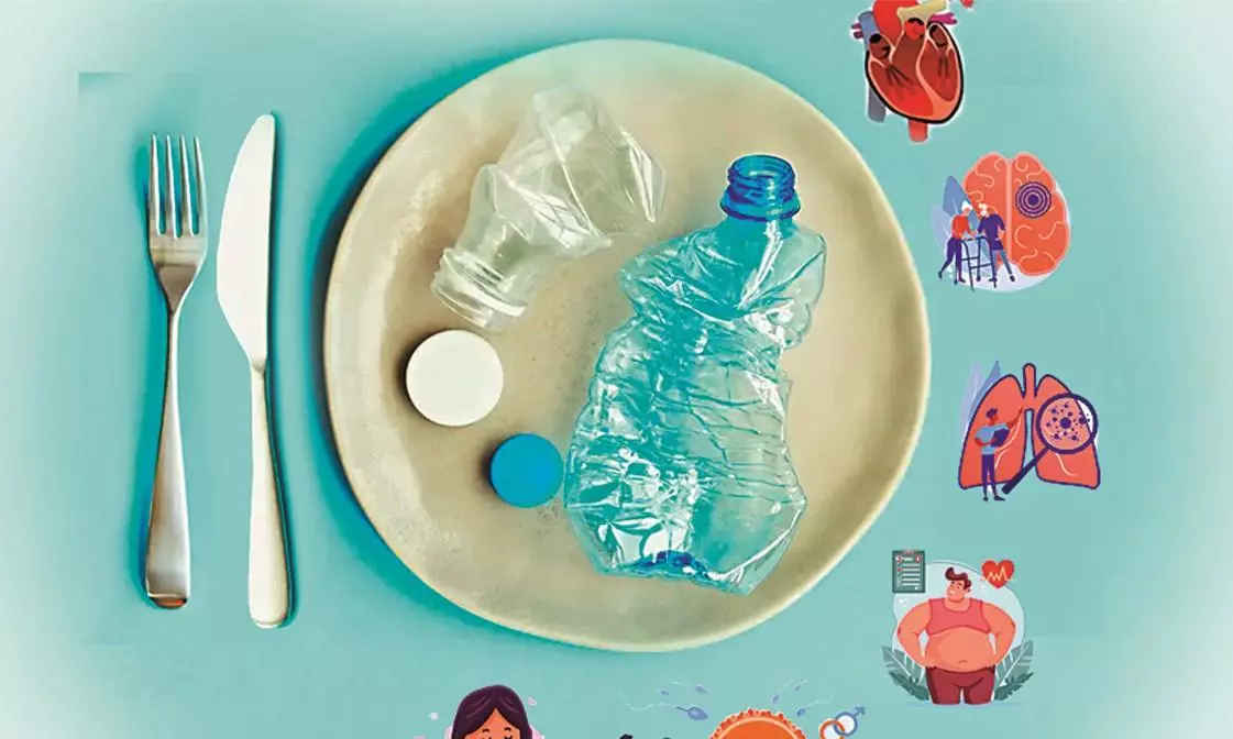 Beware of Toxic Microplastics in Kitchenware