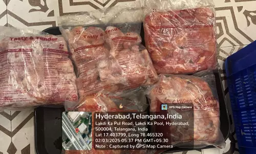 Expired food items, cockroach infestation found in Hotel Ashoka in Hyderabad
