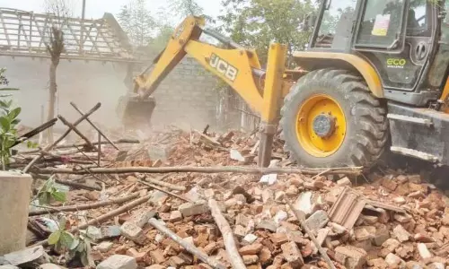 Encroachments removed in 60 acres reserve forest