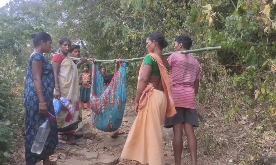 Seed festival at Neredu Bandha amid connectivity challenges