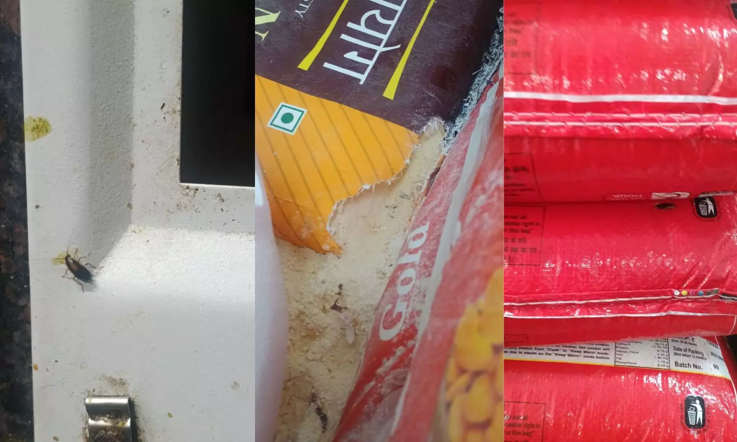 Food Safety Violations Found at NALSAR University Canteen During Inspection