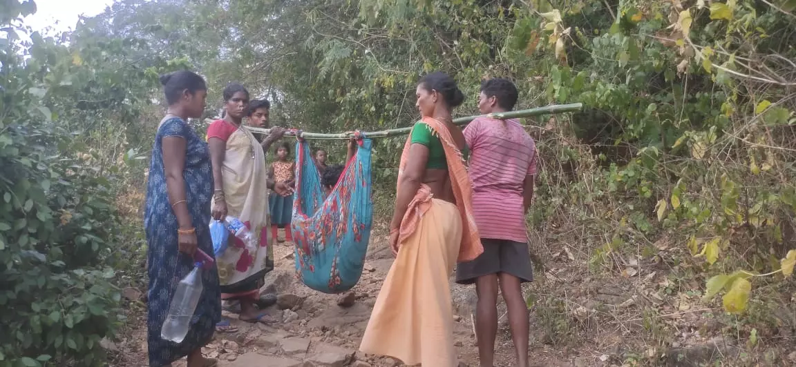 Seed festival at Neredu Bandha amid connectivity challenges Seed festival at Neredu Bandha amid connectivity challenges