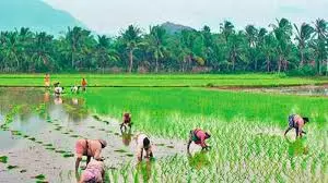 Data discrepancies hinder farmers UID registration