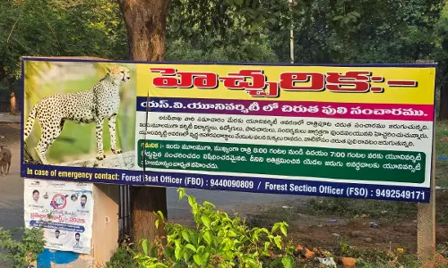 Leopard sightings spread fear in Tirupati’s academic hubs