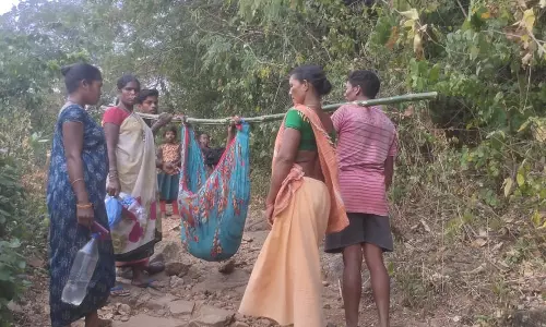 Seed festival at Neredu Bandha amid connectivity challenges Seed festival at Neredu Bandha amid connectivity challenges