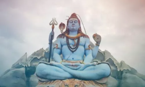 Maha Shivaratri: Night Travel Allowed Through Amrabad Reserve