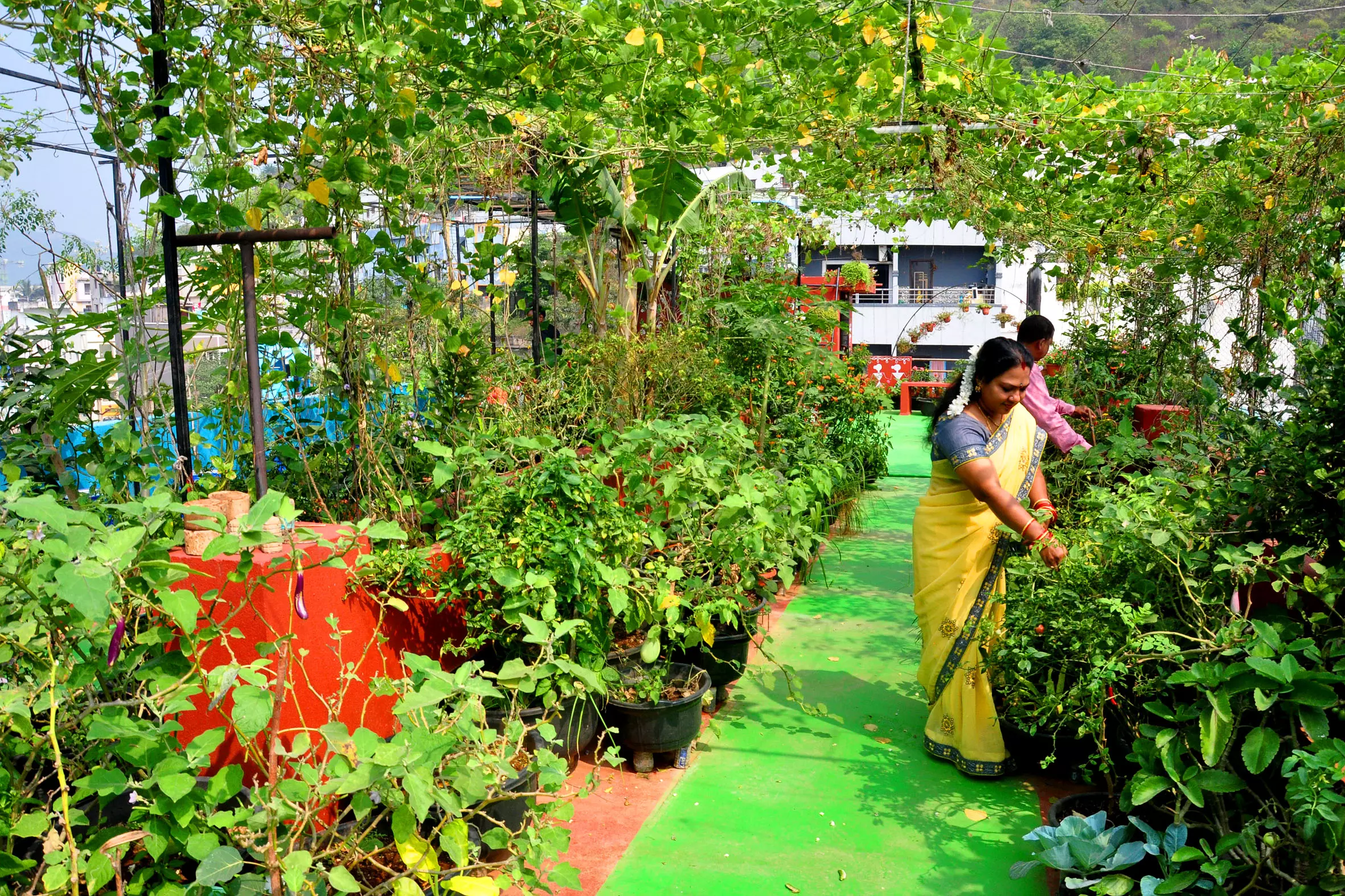 Visakhapatnam’s Green City Ambition Faces Setback