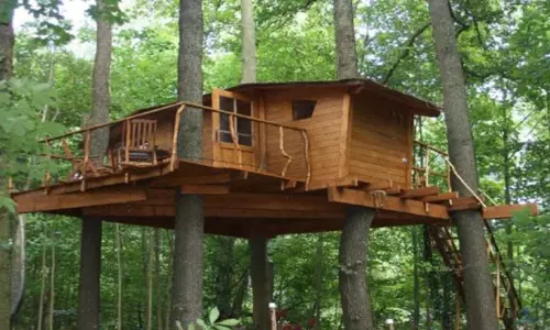 Forest to Fantasy: New Nature Park in Khammam