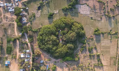 World’s largest, historic Thimmamma Banyan Tree to get BT road