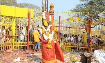 Mini-Medaram Jatra underway in Mulugu district Mini-Medaram Jatra underway in Mulugu district