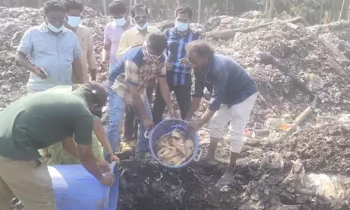 No fresh cases of infection reported in AP, say officials