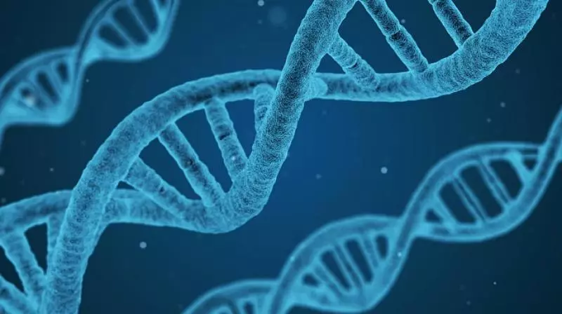 Cracking the Code: How Genetic Sequencing Uncovers Hidden Mutations in Your DNA Cracking the Code: How Genetic Sequencing Uncovers Hidden Mutations in Your DNA