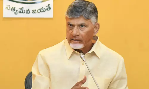 Naidu names 3-member panel for MLC polls