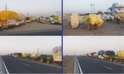 Tech glitch grounds CCI purchase of cotton