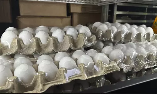 US egg prices soar to ₹860/Dozen as bird flu spreads
