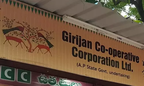 GCC to prioritise tribal product collection