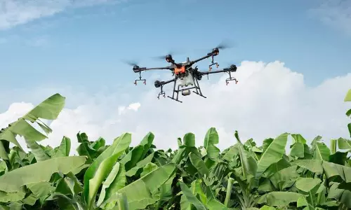 U.S. team observes natural farming innovations in Eluru U.S. team observes natural farming innovations in Eluru