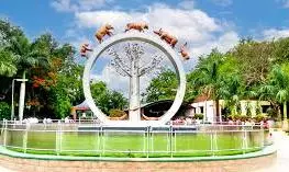 Principal chief conservator of forests Inspects Nehru Zoo