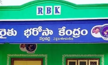 Farmers stage protest, seek MSP for cashew nuts