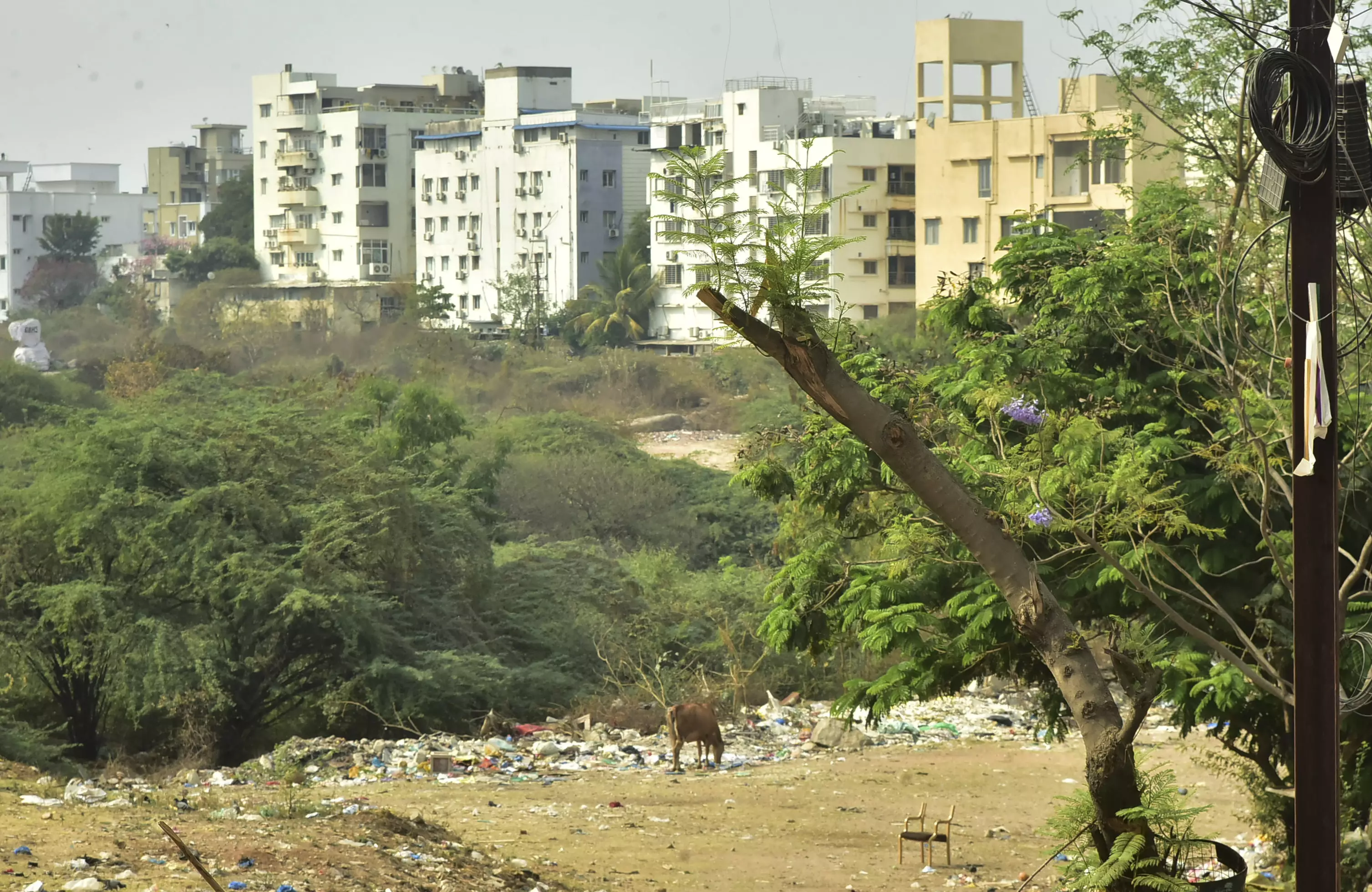 Banjara Hills residents deplore health hazards