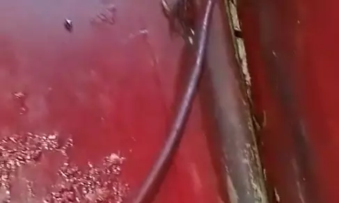 Arabian Mandi Faces FSSAI Action for Food Safety Violations