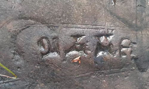 ASI to visit Lankamalleswara sanctuary to ‘estampage’ 30 new inscriptions