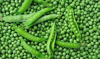 Banned colouring agents used in green peas detected by health officials in Bengaluru Banned colouring agents used in green peas detected by health officials in Bengaluru