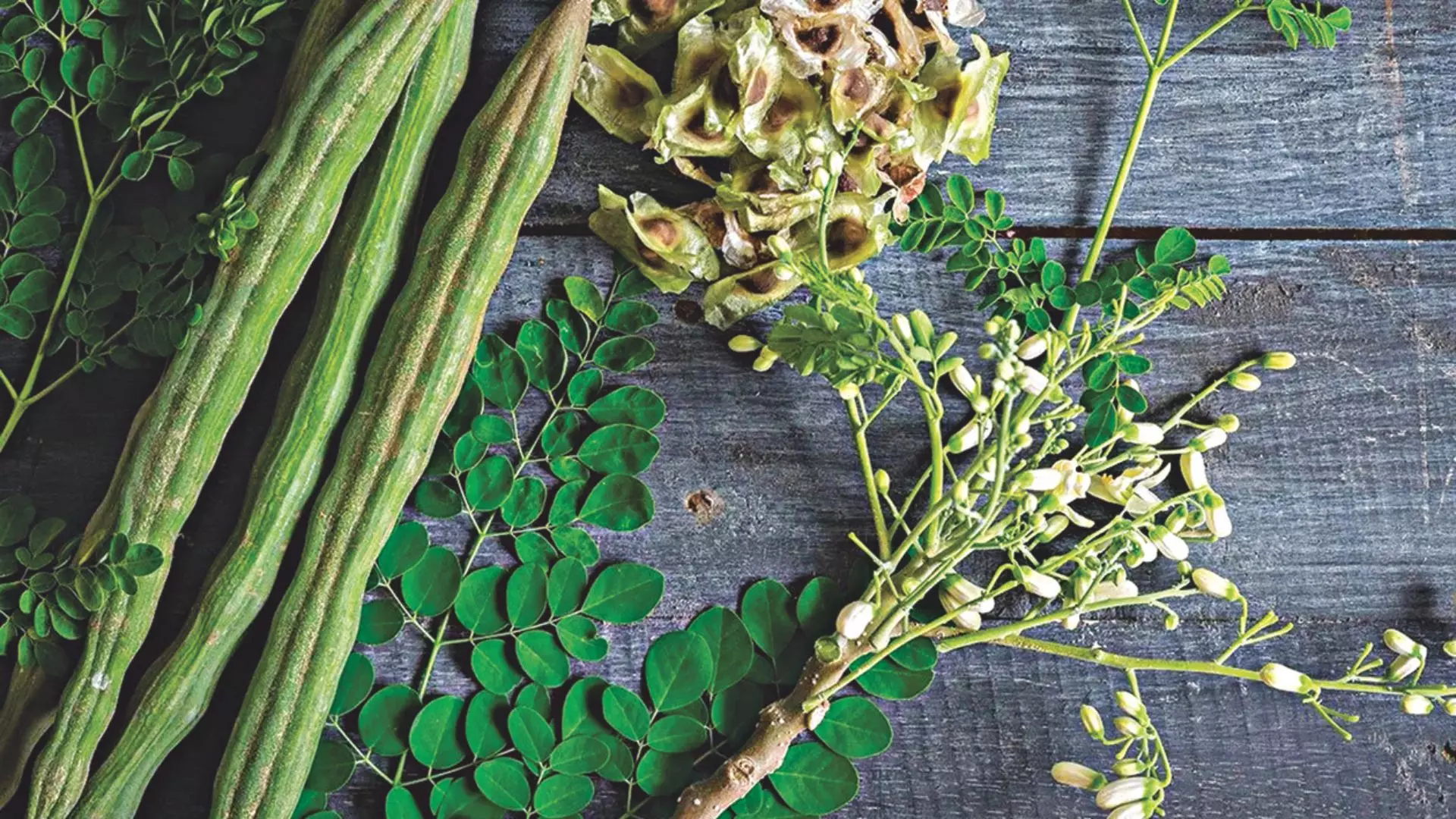 Mouthwatering moringa recipes Mouthwatering moringa recipes
