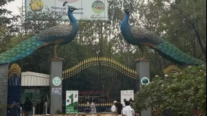 LB Nagar Oxygen Park yet to spring to life LB Nagar Oxygen Park yet to spring to life