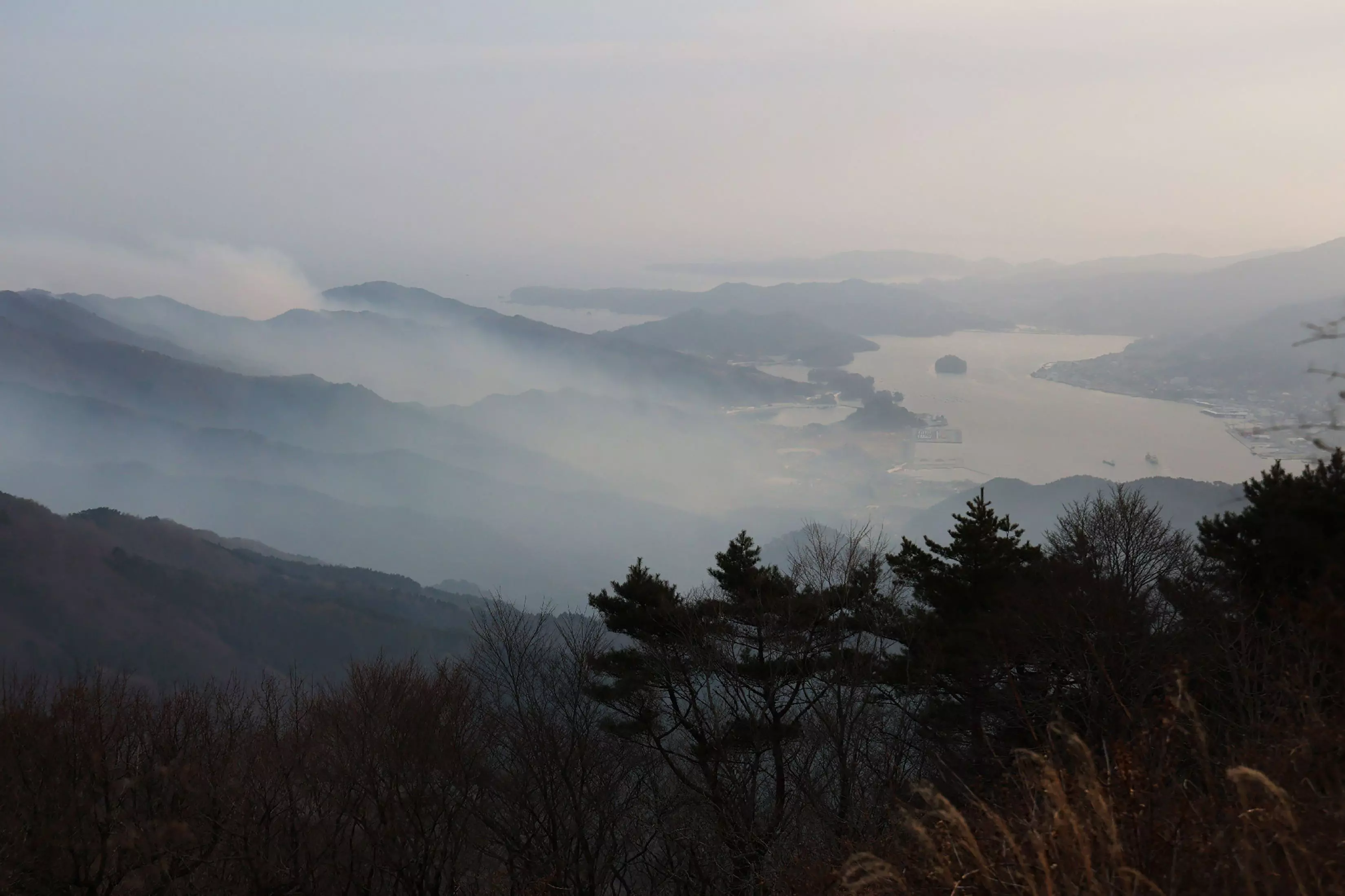 Thousands flee after Japans biggest wildfire in decades Thousands flee after Japans biggest wildfire in decades