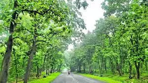 Efforts On To Arrange Water For Wildlife In Kawal Tiger Reserve