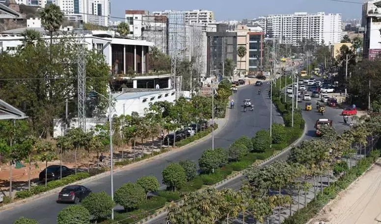 Volunteers can join Sunday’s WWF’s Hyd annual tree survey